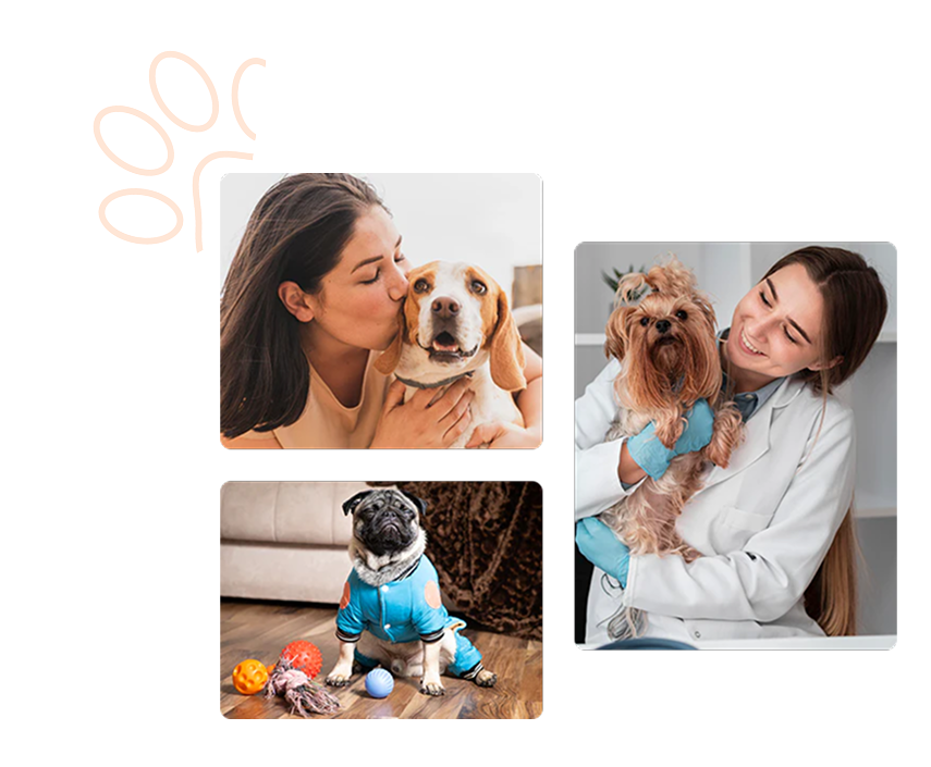 About Pupify - woman holding yorkshire terrier puppy happy dog owner canada pupify