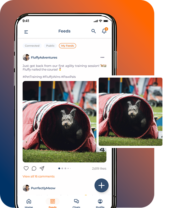 dog community app