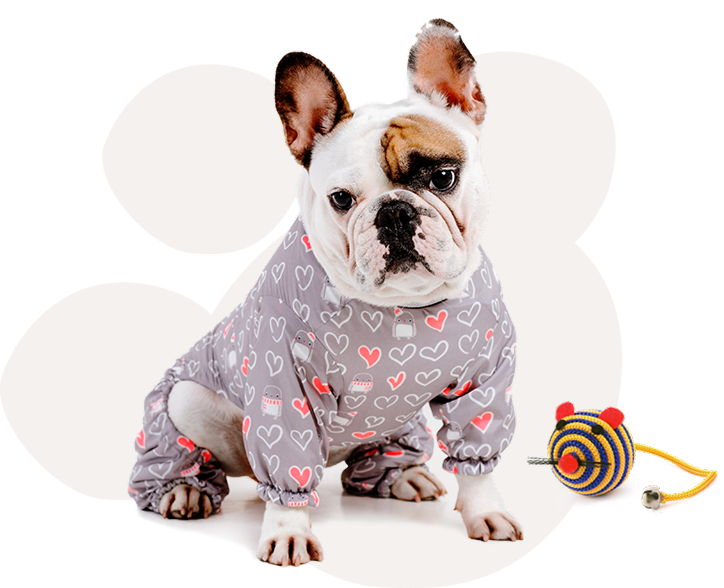 Advertise puppies online with Pupify