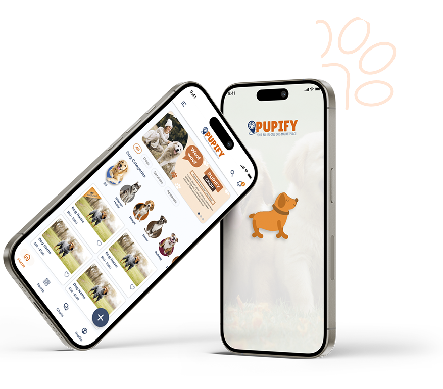 Pupify Blog