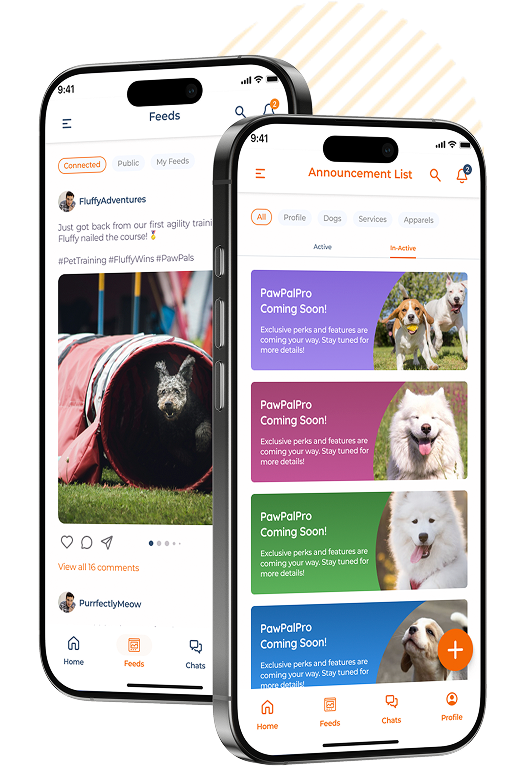 dog community app