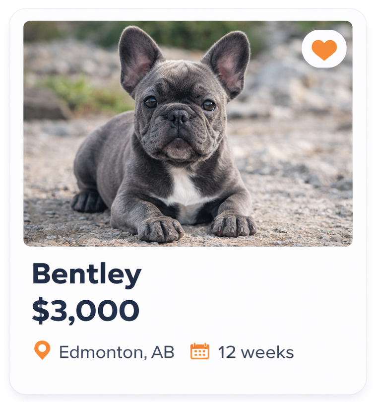 dog breeders platform canada app puppy listings
