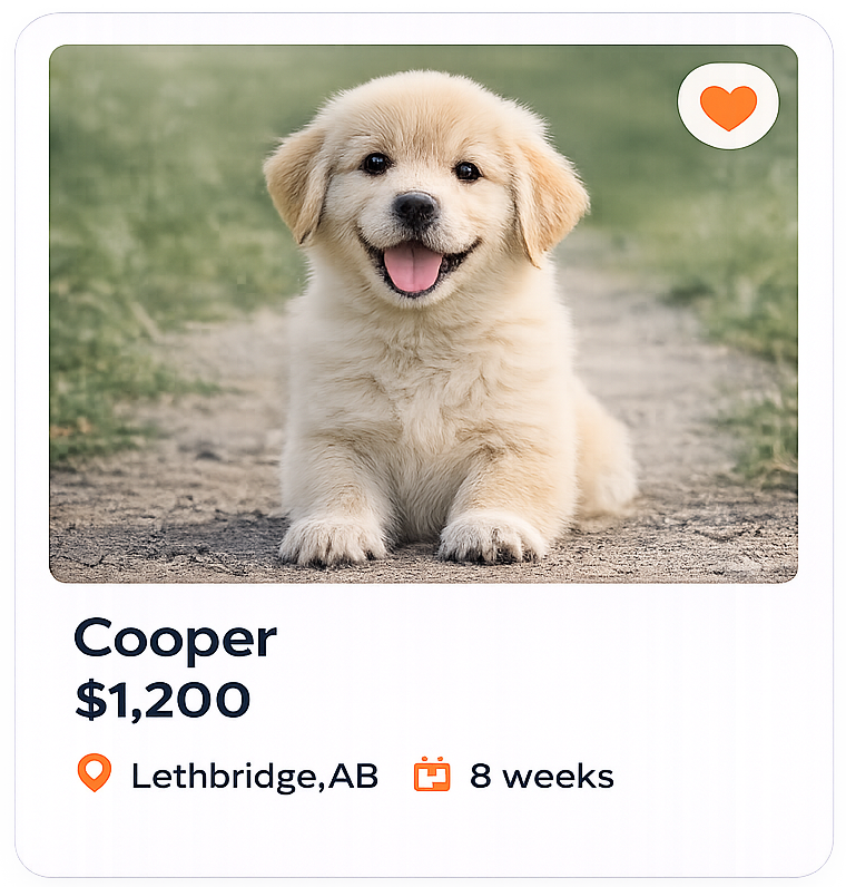 list puppies for sale canada mobile app pupify