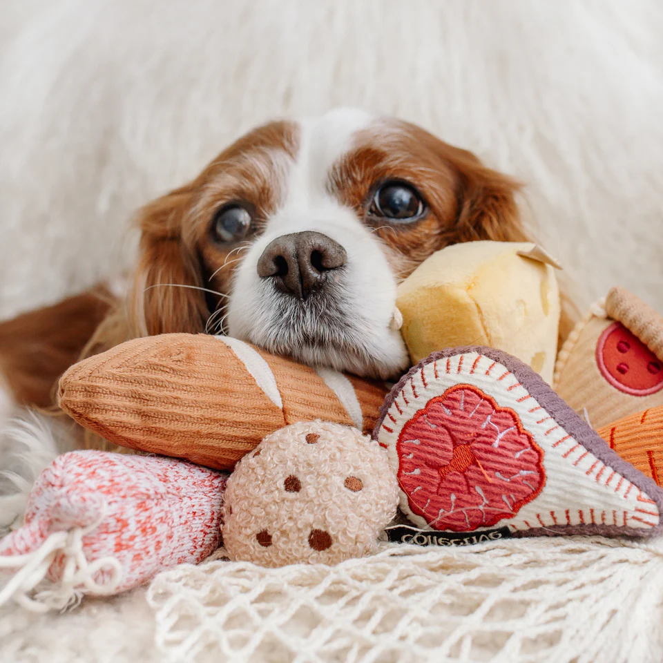 Best dog toys for puppies