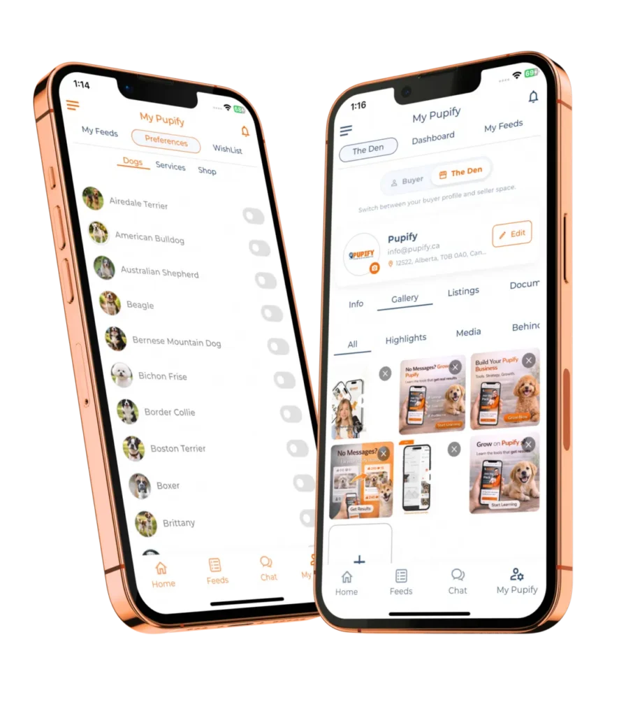 Pupify Features