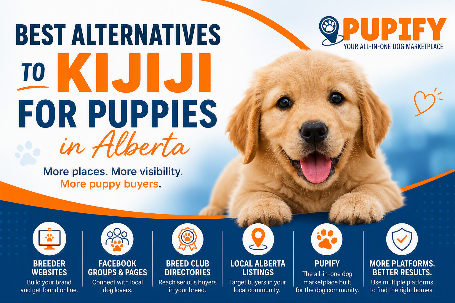 best alternatives to kijiji for puppies