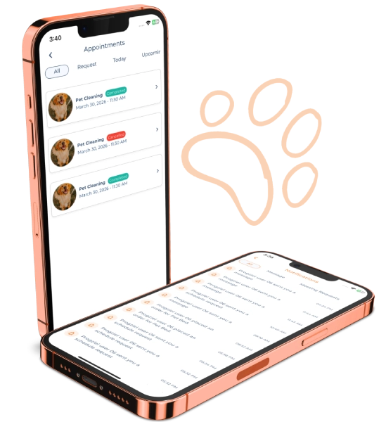 How Pupify Works