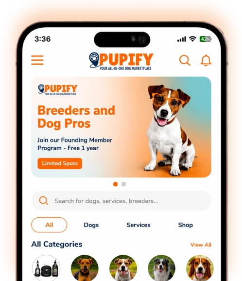 Canada's Dog Marketplace